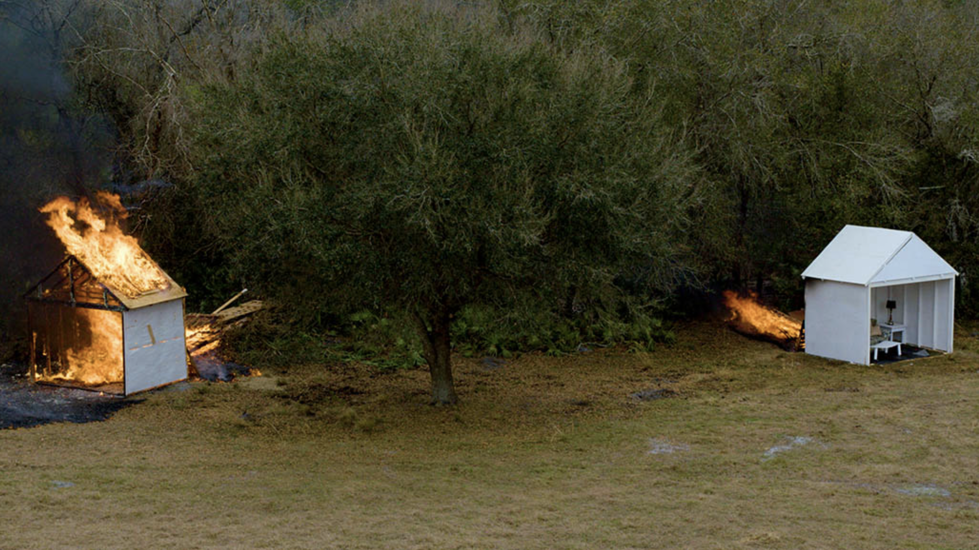 A fire is burning in the middle of an olive grove.